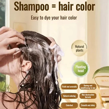 Long Lasting Natural Hair Dye Shampoo - Buy 1 Get 1 FREE
